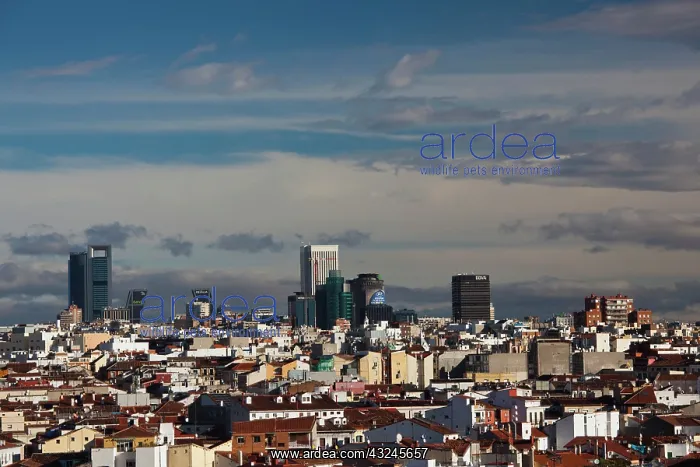 : Spain, Madrid, Centro Area, elevated view : Spain, Madrid, Centro Area, elevated view