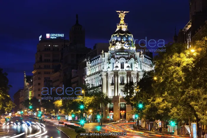 : Spain, Madrid, Plaza de Cibeles, view along : Spain, Madrid, Plaza de Cibeles, view along