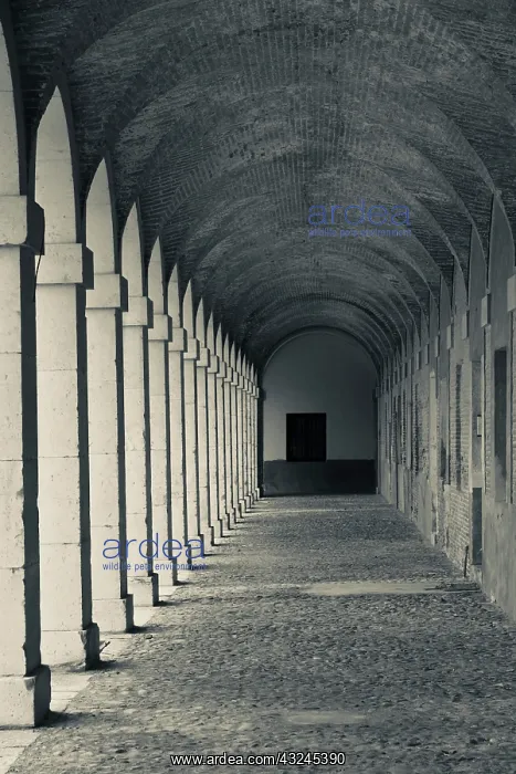 : Spain, Madrid Region, Aranjuez, The Royal : Spain, Madrid Region, Aranjuez, The Royal