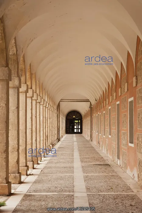 : Spain, Madrid Region, Aranjuez, The Royal : Spain, Madrid Region, Aranjuez, The Royal