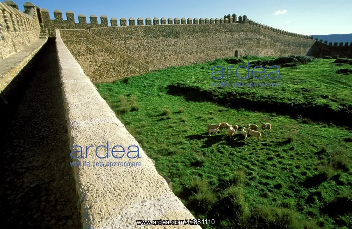 : Spain - The magnificent crenellated thirtheenth-century : Spain - The magnificent crenellated thirtheenth-century