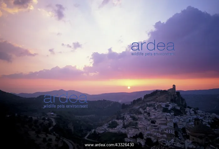 : Spain, Montefrio, Andalusia : Spain, Montefrio, Andalusia