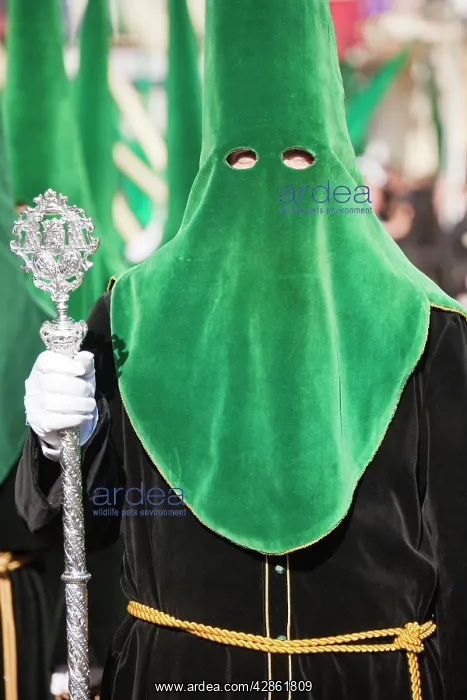 : Spain - Nazarenos (= penitents) at the Semana Santa : Spain - Nazarenos (= penitents) at the Semana Santa