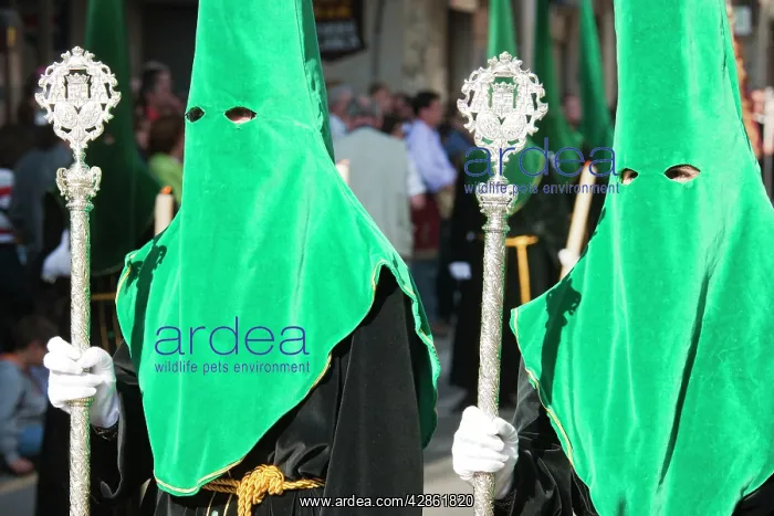 : Spain - Nazarenos (= penitents) at the Semana Santa : Spain - Nazarenos (= penitents) at the Semana Santa