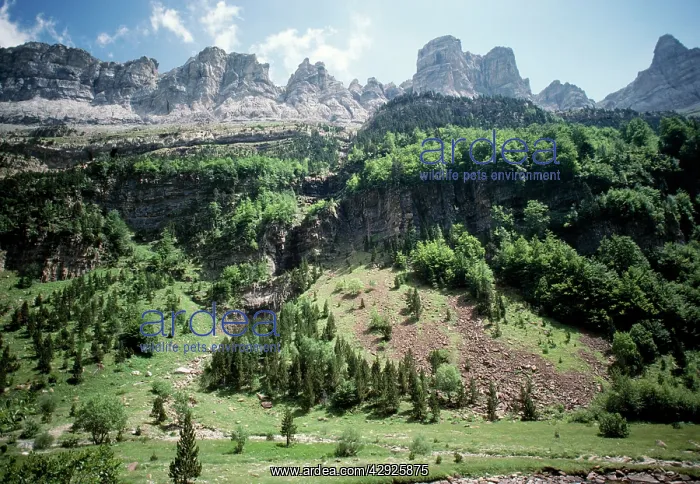  : SPAIN -Ordesa National Park
