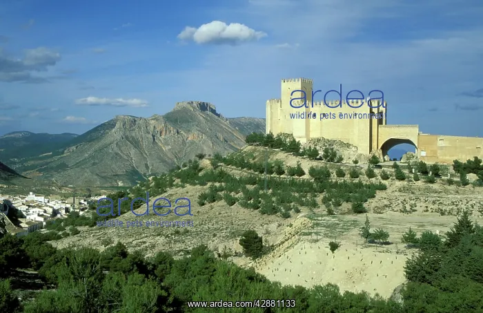 : Spain - The outstanding Renaissance castle and : Spain - The outstanding Renaissance castle and