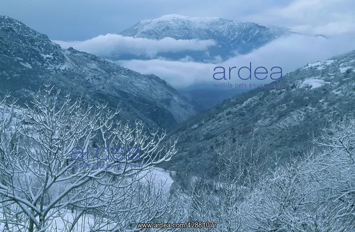 : Spain - The Poqueira Gorge in the Alpujarras in : Spain - The Poqueira Gorge in the Alpujarras in