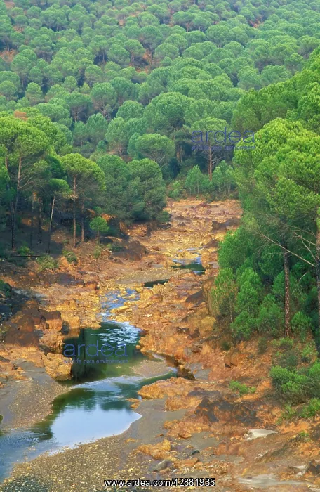 : Spain - The Rio Tinto (Red river) flowing through : Spain - The Rio Tinto (Red river) flowing through
