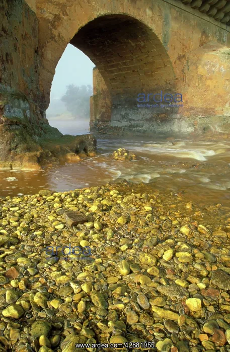 : Spain - The Rio Tinto (Red river) spanned by a : Spain - The Rio Tinto (Red river) spanned by a