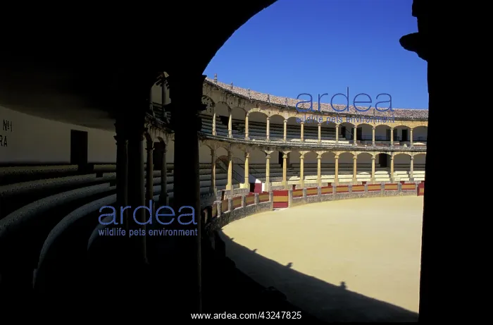 : Spain, Ronda. World's oldest bullring : Spain, Ronda. World's oldest bullring