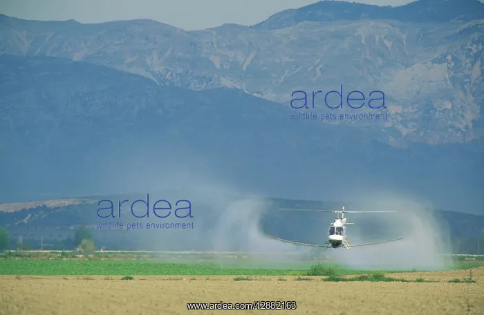 : Spain - Sophisticated working methods like spraying : Spain - Sophisticated working methods like spraying
