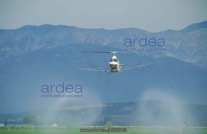 : Spain - Sophisticated working methods like spraying : Spain - Sophisticated working methods like spraying