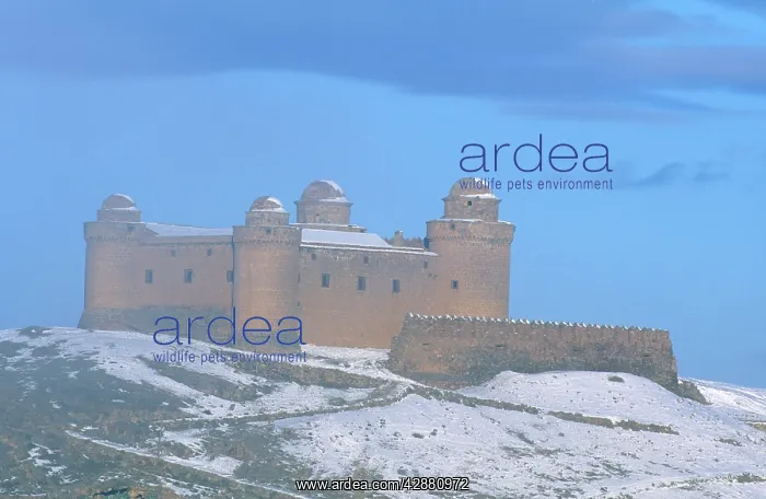 : Spain - The spectacular domed Renaissance castle : Spain - The spectacular domed Renaissance castle