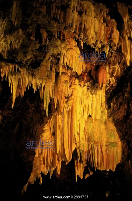 : Spain - Stalactites in the Gruta de las Maravillas : Spain - Stalactites in the Gruta de las Maravillas