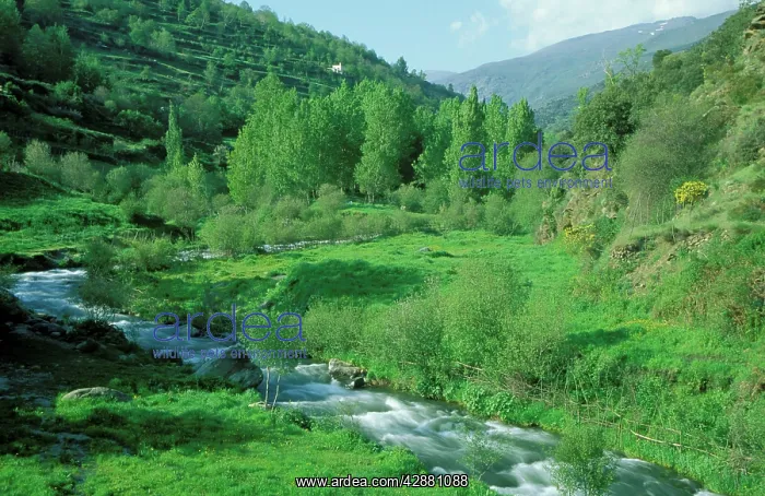 : Spain - The Trevelez river when flowing past the : Spain - The Trevelez river when flowing past the
