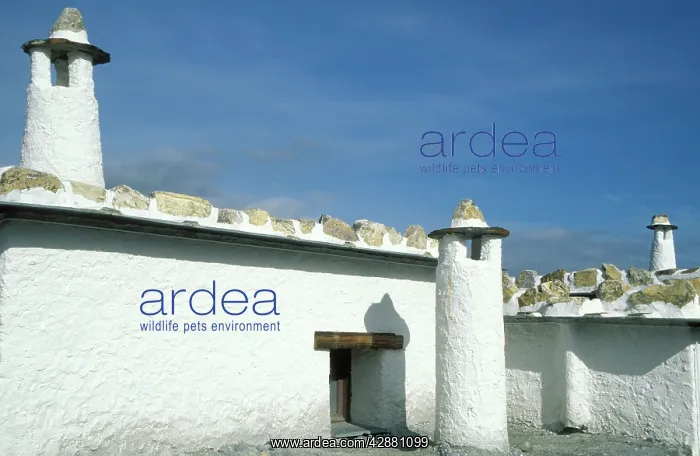 : Spain - Typical Alpujarran architecture with flat : Spain - Typical Alpujarran architecture with flat