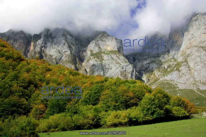 : Spain - View of Picos de Europa mountains at cablecar : Spain - View of Picos de Europa mountains at cablecar