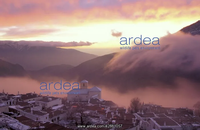  : Spain - The village of Bubion with its typical