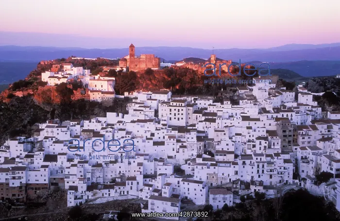 : SPAIN - the White town' of Casares, spectacularly : SPAIN - the White town' of Casares, spectacularly