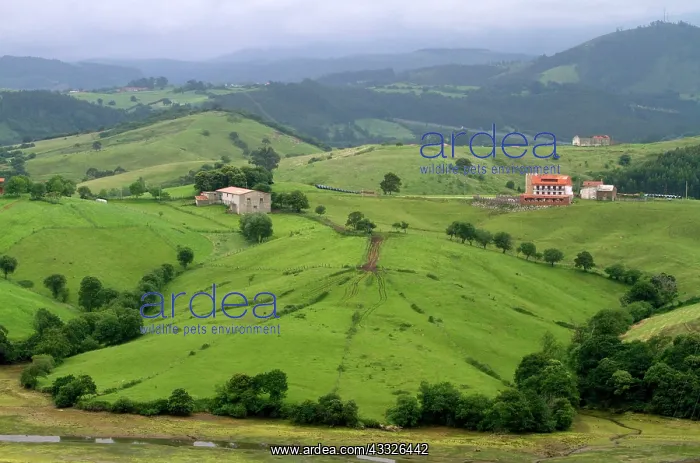 : Spanish countryside near San Vicente de : Spanish countryside near San Vicente de