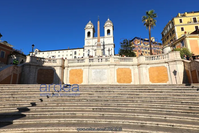: The Spanish Steps and the Trinita dei Monti church : The Spanish Steps and the Trinita dei Monti church