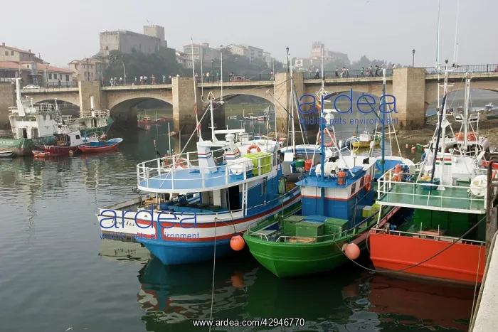: Spanish trawlers moored on quayside : Spanish trawlers moored on quayside