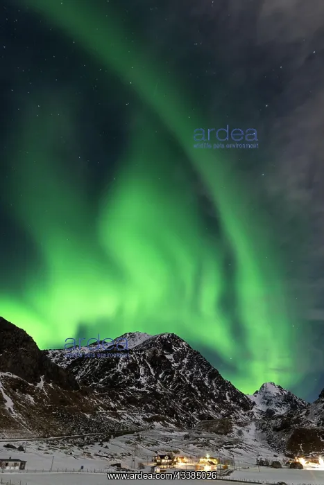 : Spectacular dancing green strong northern lights o : Spectacular dancing green strong northern lights o