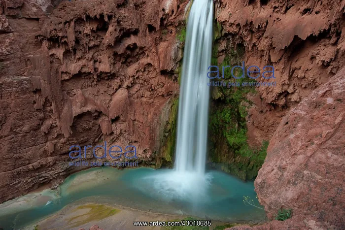  : The spectacular Mooney Falls Havasupai Falls