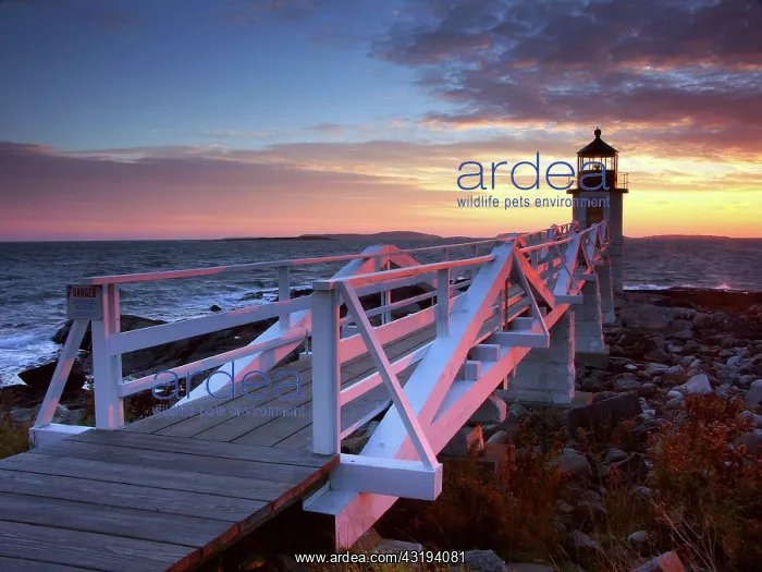 : Spectacular sunset behind Marshall Point Lighthouse : Spectacular sunset behind Marshall Point Lighthouse