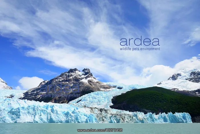 : Spegazzini Glacier at Brazo Spegazzini, Lago Argentino : Spegazzini Glacier at Brazo Spegazzini, Lago Argentino