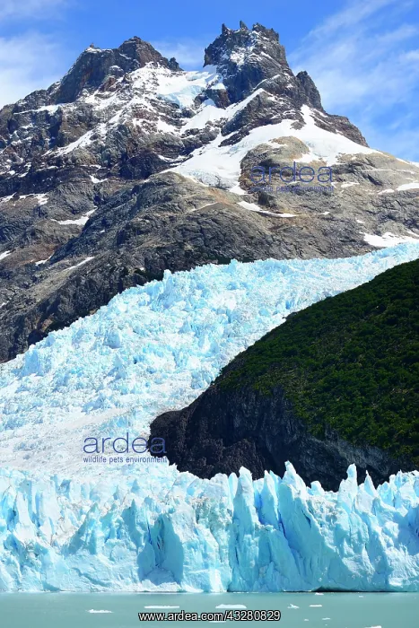 : Spegazzini Glacier at Brazo Spegazzini, Lago Argentino : Spegazzini Glacier at Brazo Spegazzini, Lago Argentino