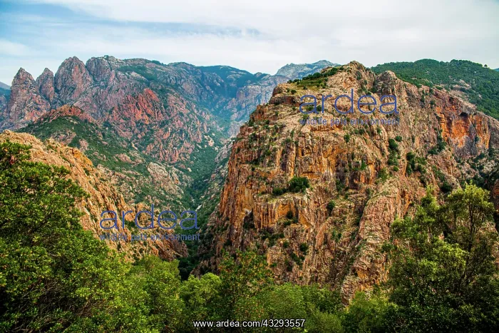 : Spelunca Gorge on the west side of the Col de Vergio : Spelunca Gorge on the west side of the Col de Vergio