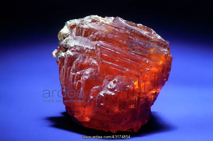 : Spessartine from Amelia, Virginia : Spessartine from Amelia, Virginia