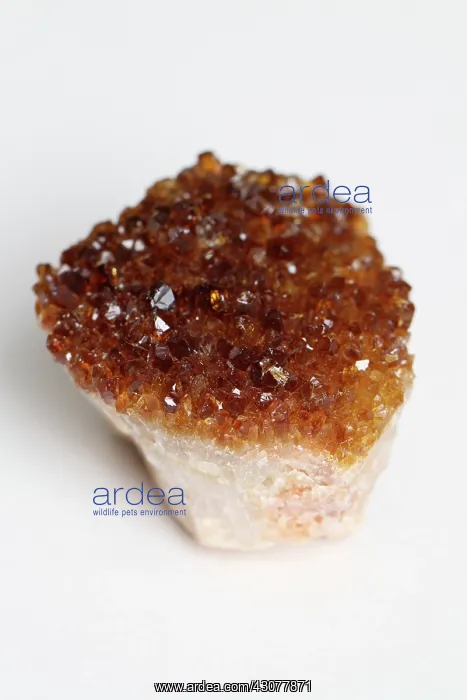  : Spessartine Garnet