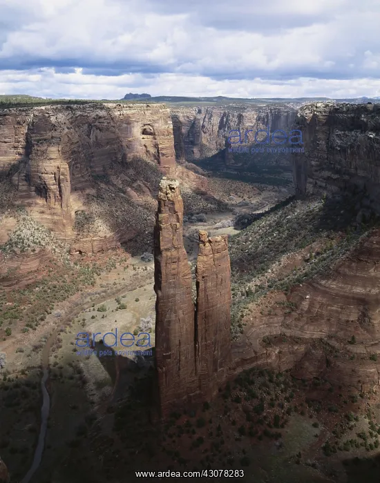 : Spider Rock, Canyon de Chelly : Spider Rock, Canyon de Chelly