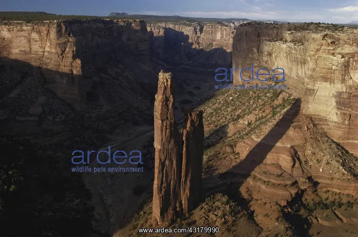 : Spider Rock, Canyon de Chelly : Spider Rock, Canyon de Chelly