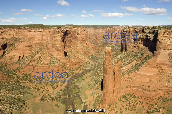 : Spiders Rock is an 800-foot sandstone rock pinnacle : Spiders Rock is an 800-foot sandstone rock pinnacle