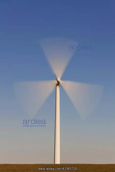 : Spinning blades of windturbine in field against blue sky : Spinning blades of windturbine in field against blue sky