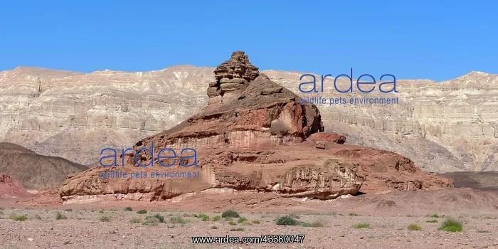 : Spiral Rock rock formation, Timna National Park : Spiral Rock rock formation, Timna National Park