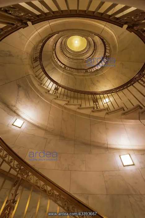 : Spiral staircase in the Supreme Court Building : Spiral staircase in the Supreme Court Building