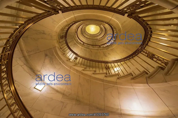 : Spiral staircase in the Supreme Court Building : Spiral staircase in the Supreme Court Building
