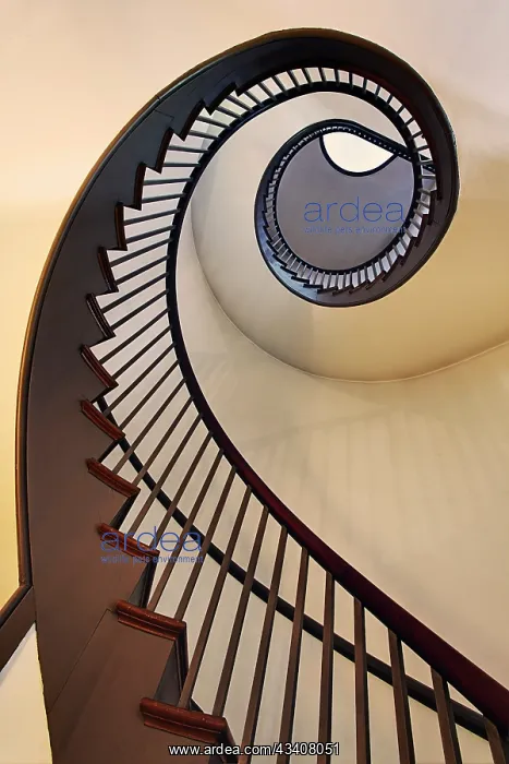 : Spiral stairway, Shaker Village of Pleasant Hill, Kentucky : Spiral stairway, Shaker Village of Pleasant Hill, Kentucky