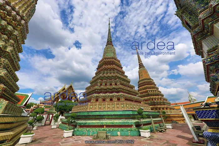  : Spires of Chedis at Wat Pho temple, Bangkok, Thailand