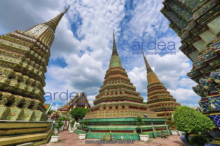 : Spires of tiled Chedis at Wat Pho temple, Bangkok, Thailand : Spires of tiled Chedis at Wat Pho temple, Bangkok, Thailand