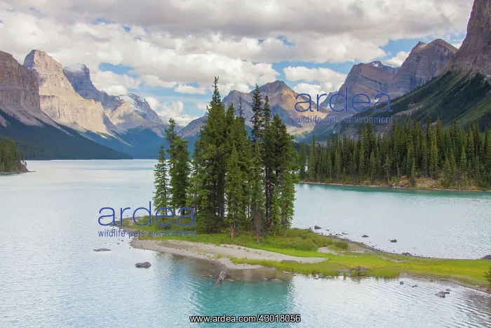 : Spirit Island in Maligne Lake in front of mountainscape : Spirit Island in Maligne Lake in front of mountainscape