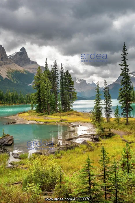 : Spirit Island, shores of Maligne Lake, mountains : Spirit Island, shores of Maligne Lake, mountains