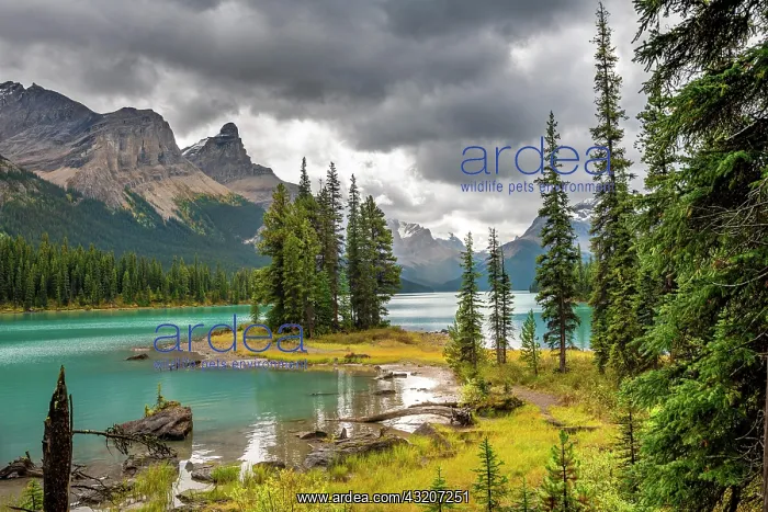 : Spirit Island, shores of Maligne Lake, mountains : Spirit Island, shores of Maligne Lake, mountains