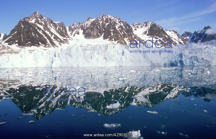 : SPITZBERGEN - Magdalena Bay : SPITZBERGEN - Magdalena Bay