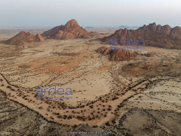 : Spitzkoppe (1728 m) - on the left - and Pondok Mountain majestically rise above the surrounding desert plains : Spitzkoppe (1728 m) - on the left - and Pondok Mountain majestically rise above the surrounding desert plains