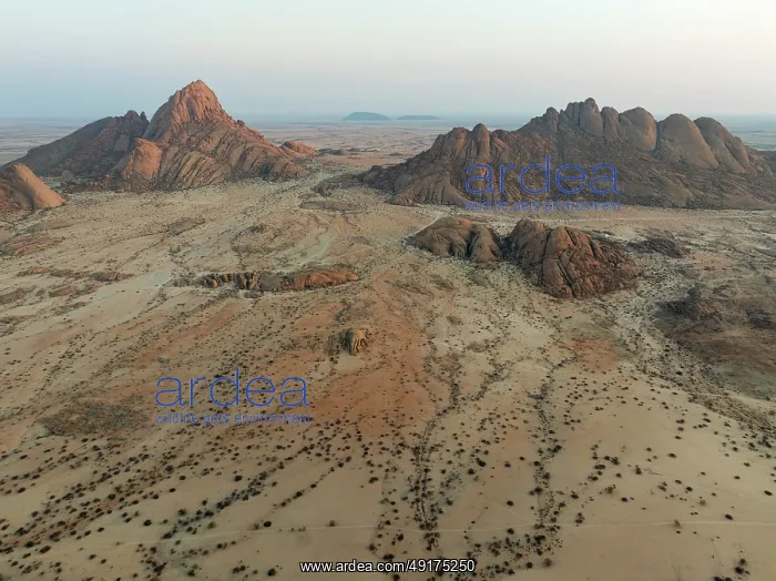 : Spitzkoppe (1728 m) - on the left - and Pondok Mountain majestically rise above the surrounding desert plains : Spitzkoppe (1728 m) - on the left - and Pondok Mountain majestically rise above the surrounding desert plains